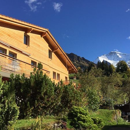 Appartamento Chalet Viola Wengen Esterno foto