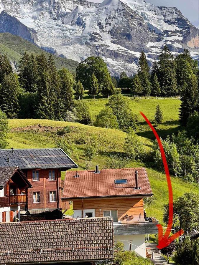 Chalet Viola Wengen Esterno foto