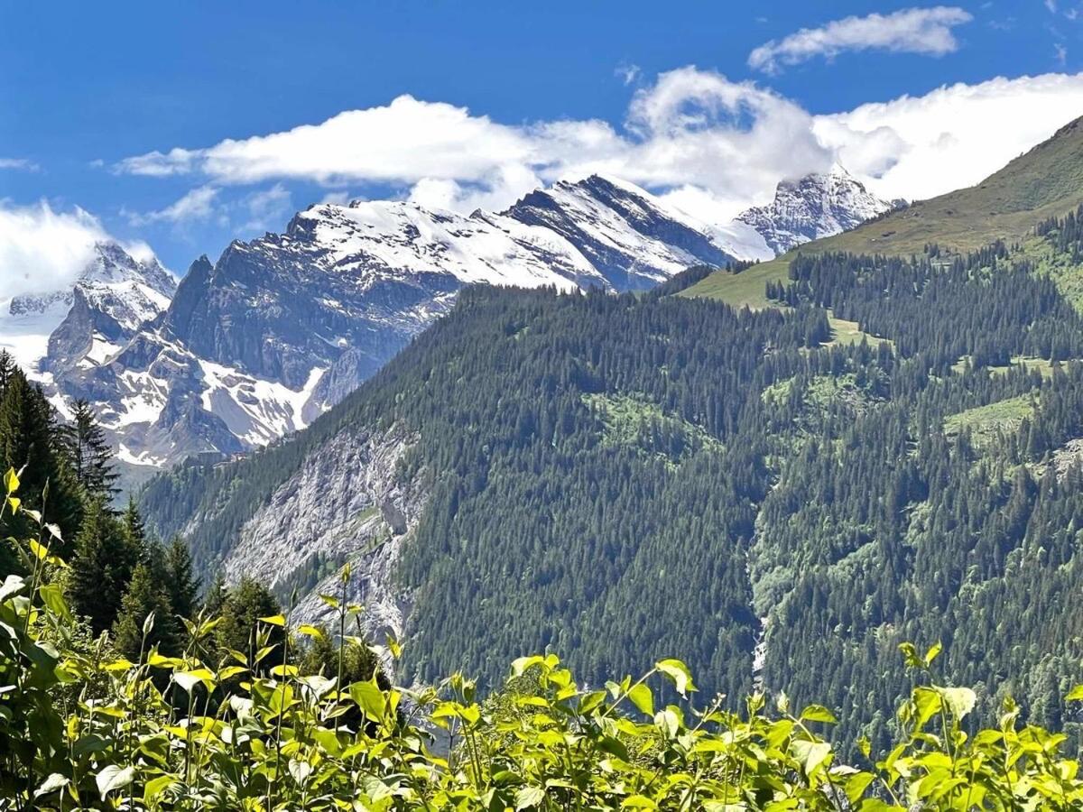 Chalet Viola Wengen Esterno foto