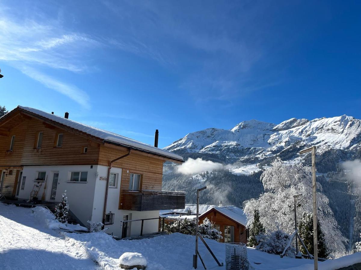 Chalet Viola Wengen Esterno foto