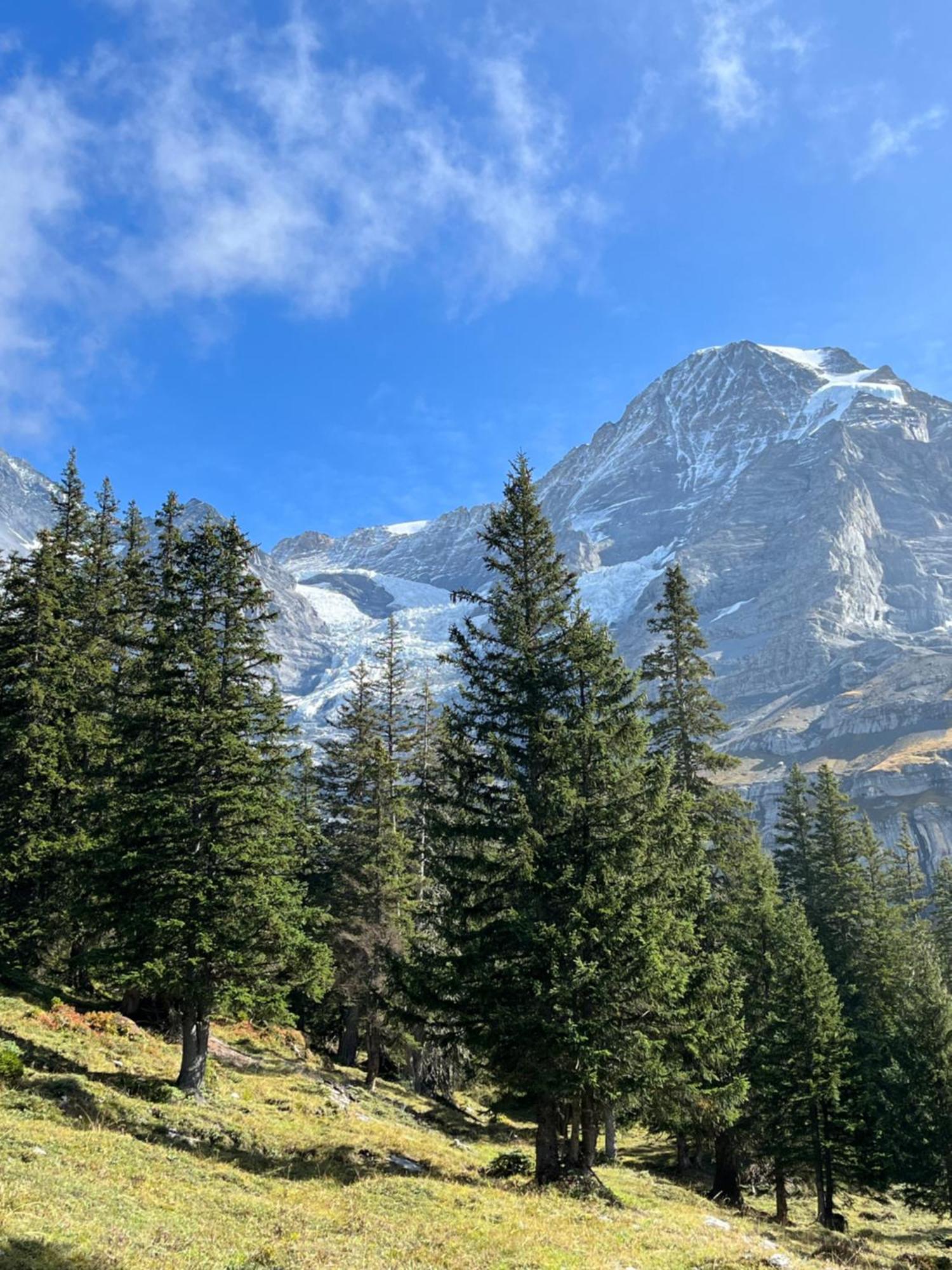 Appartamento Chalet Viola Wengen Esterno foto