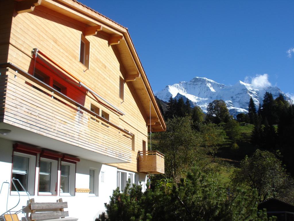 Chalet Viola Wengen Esterno foto