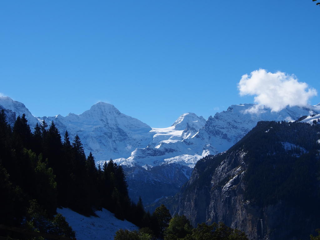 Appartamento Chalet Viola Wengen Esterno foto