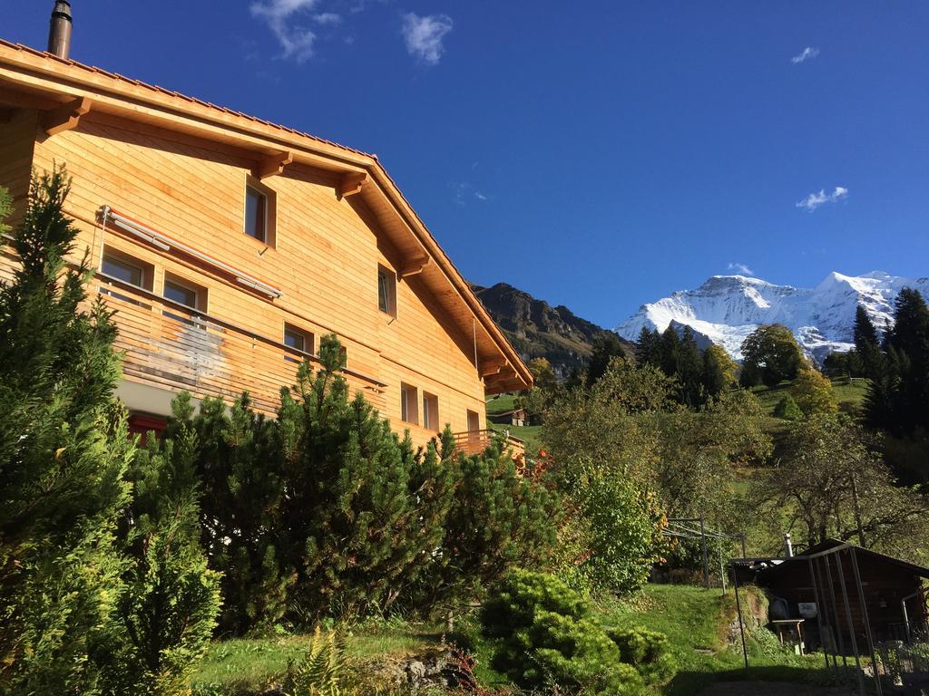 Chalet Viola Wengen Esterno foto